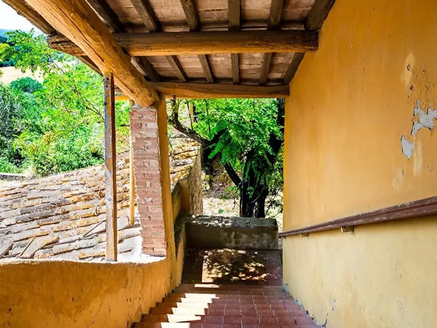 Immagine 9 di Casa colonica in vendita  a Certaldo