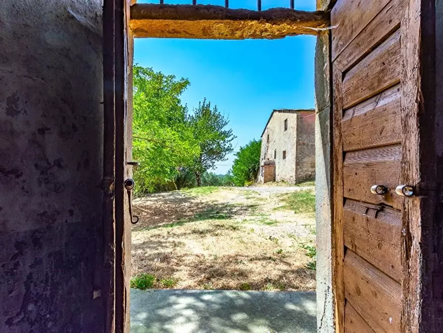 Immagine 15 di Casa colonica in vendita  a Certaldo
