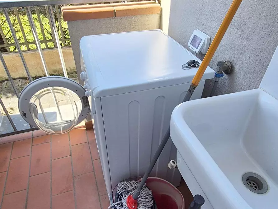 Immagine 65 di Appartamento in affitto  a Viareggio