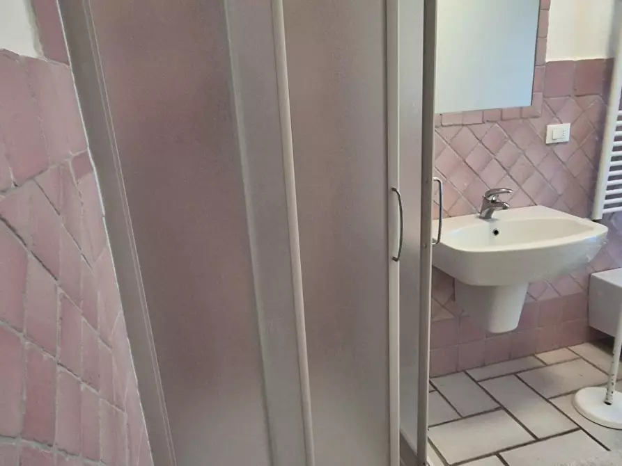 Immagine 62 di Appartamento in affitto  a Viareggio