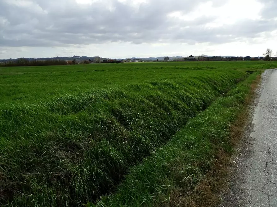 Immagine 1 di Terreno agricolo in vendita  a San Miniato