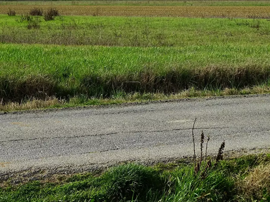 Immagine 1 di Terreno agricolo in vendita  a San Miniato