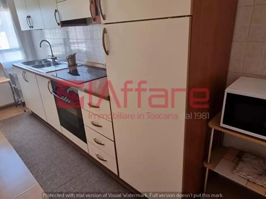 Immagine 27 di Appartamento in affitto  a Pontedera