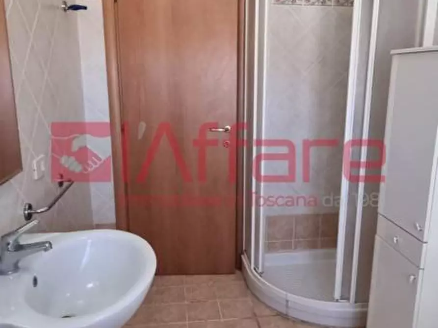 Immagine 43 di Appartamento in affitto  a Pontedera