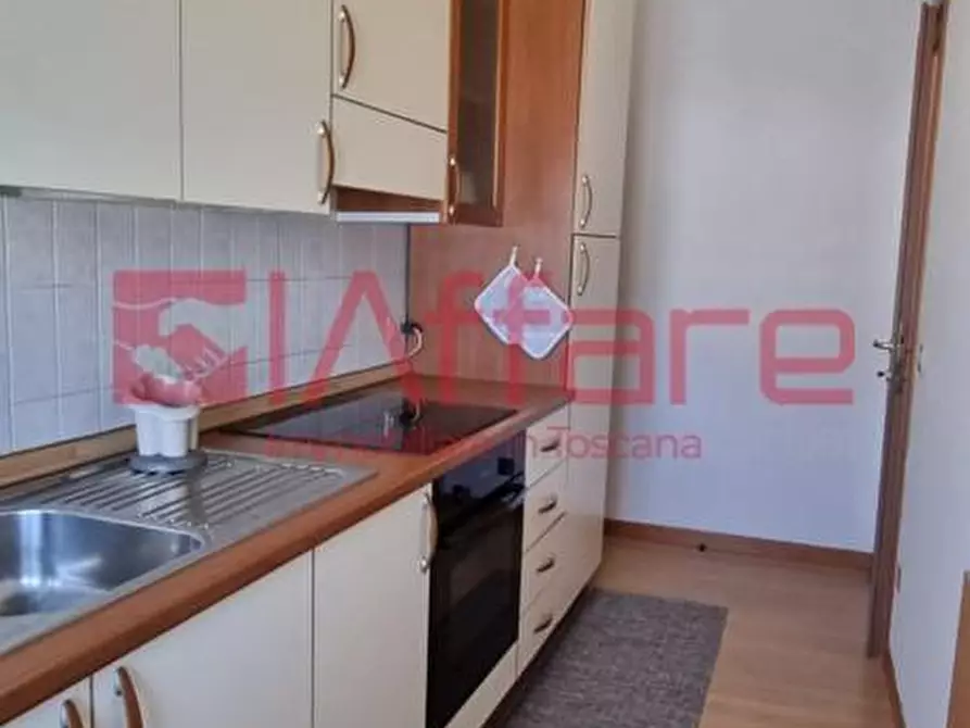 Immagine 28 di Appartamento in affitto  a Pontedera