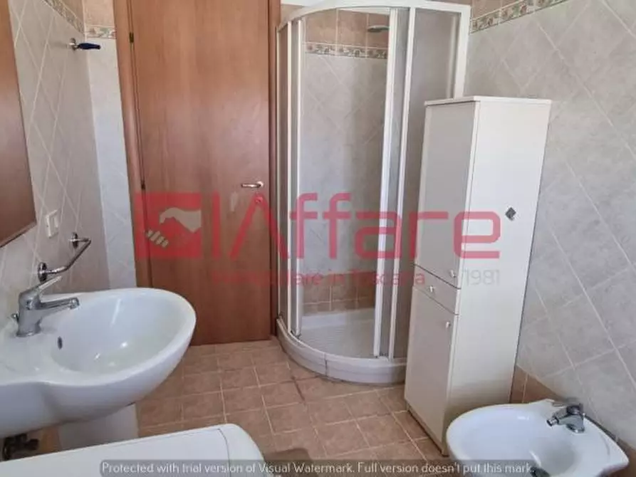 Immagine 47 di Appartamento in affitto  a Pontedera