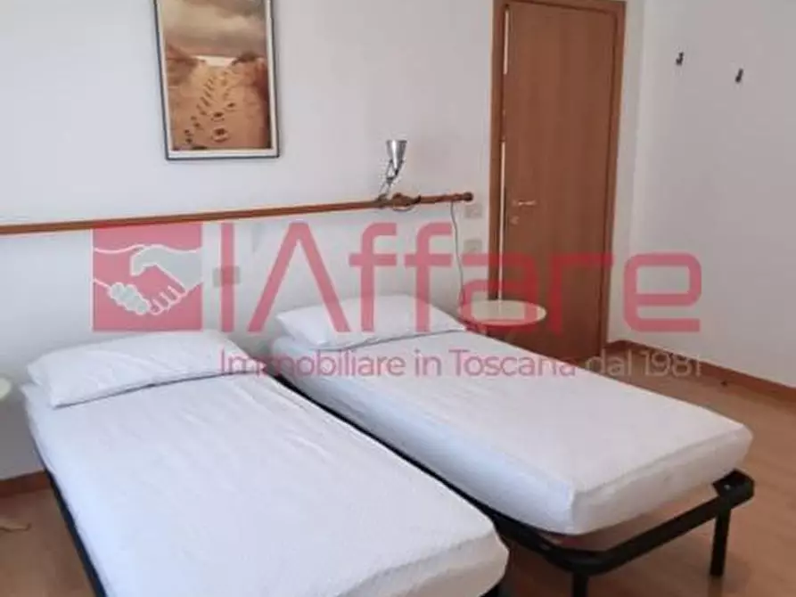 Immagine 35 di Appartamento in affitto  a Pontedera