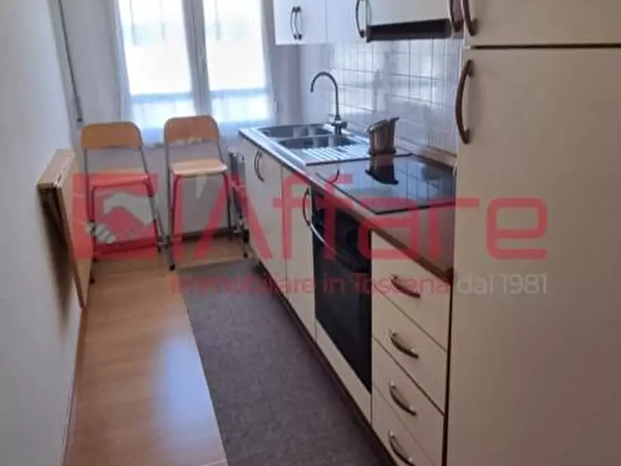 Immagine 21 di Appartamento in affitto  a Pontedera