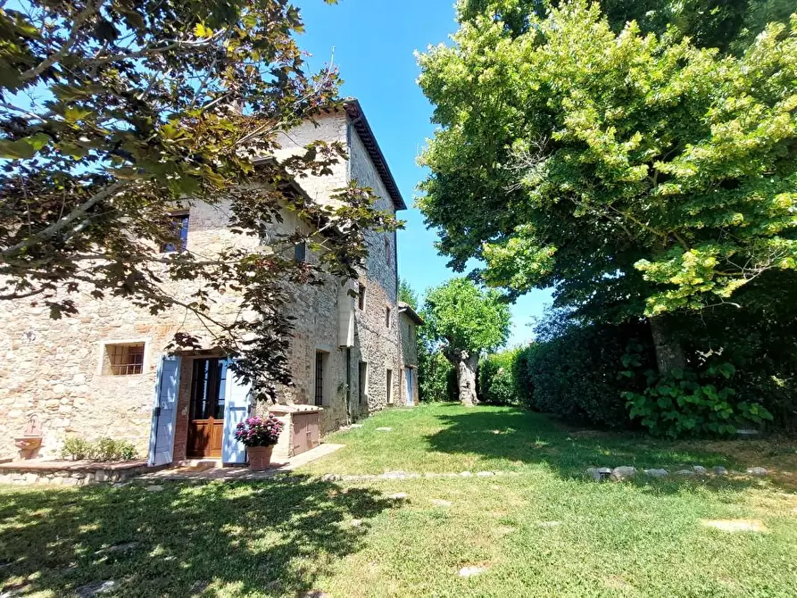 Immagine 6 di Appartamento in affitto  a Castelnuovo Berardenga