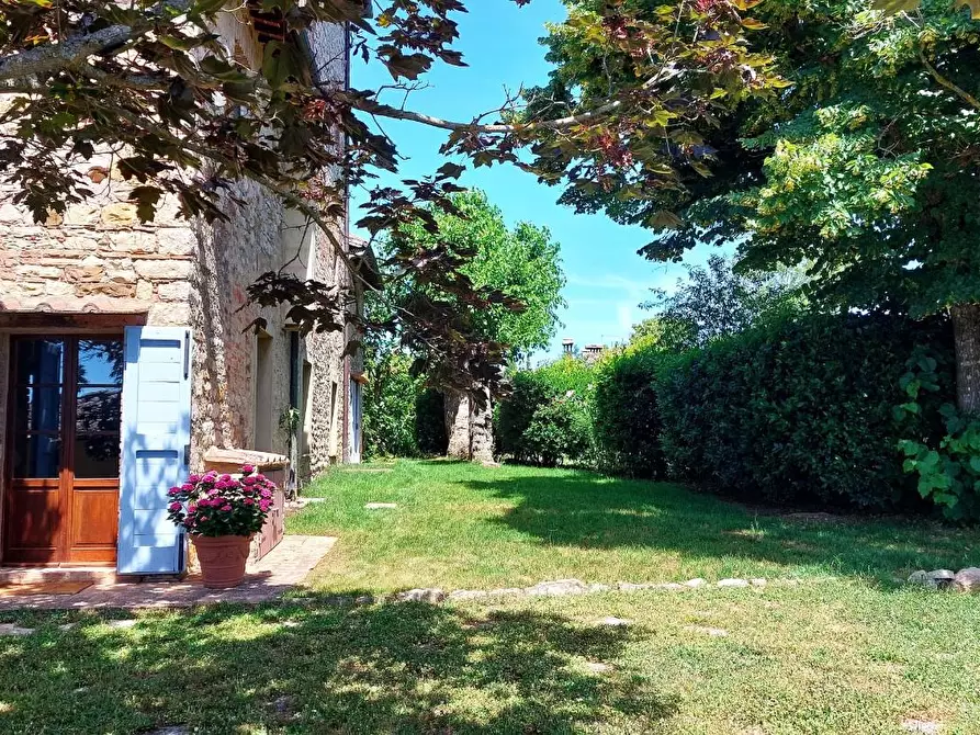 Immagine 21 di Appartamento in affitto  a Castelnuovo Berardenga