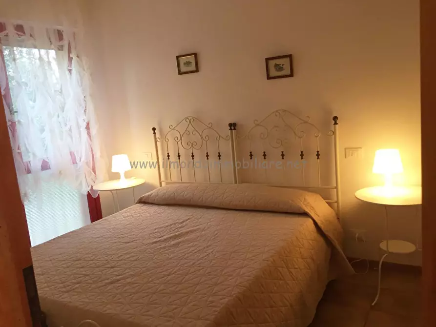 Immagine 16 di Appartamento in affitto  a Rosignano Marittimo