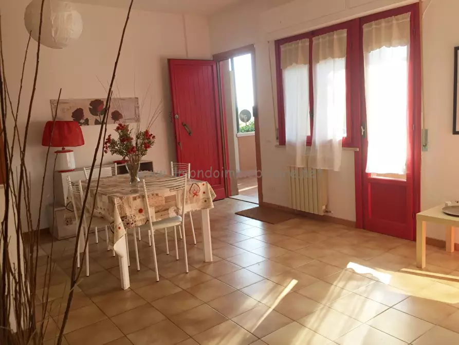 Immagine 9 di Appartamento in affitto  a Rosignano Marittimo