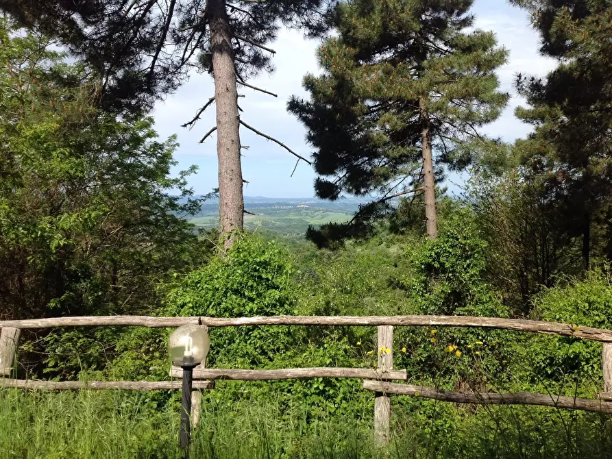 Immagine 4 di Azienda agricola in vendita  a Montaione