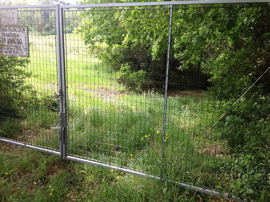 Immagine 34 di Azienda agricola in vendita  a Montaione