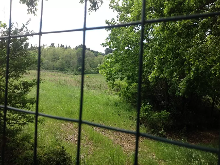 Immagine 36 di Azienda agricola in vendita  a Montaione