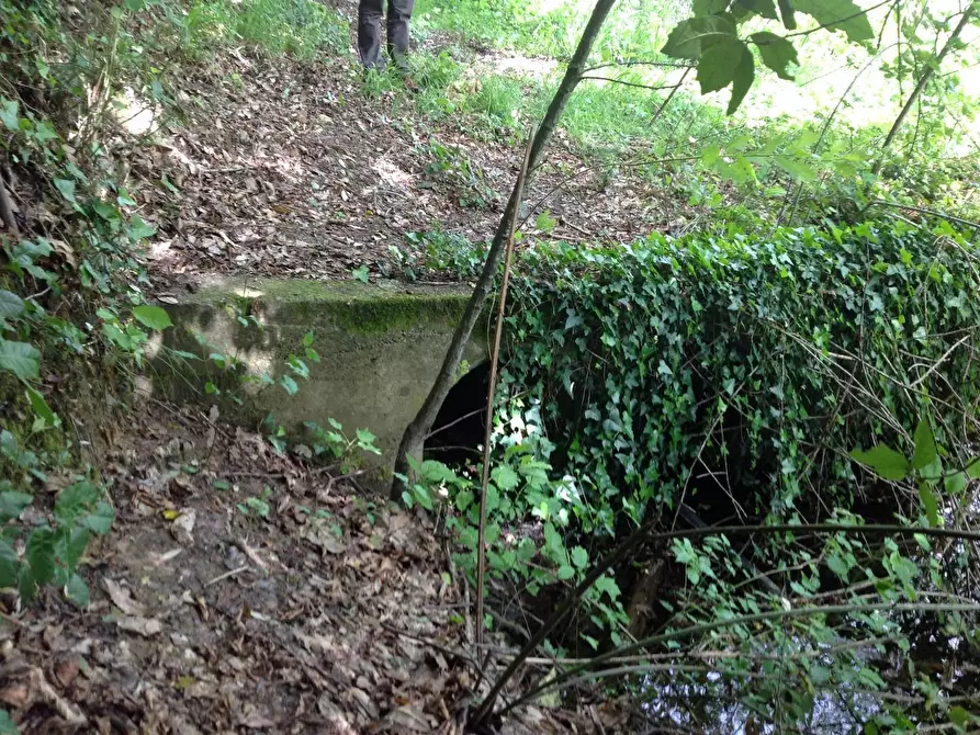 Immagine 27 di Azienda agricola in vendita  a Montaione
