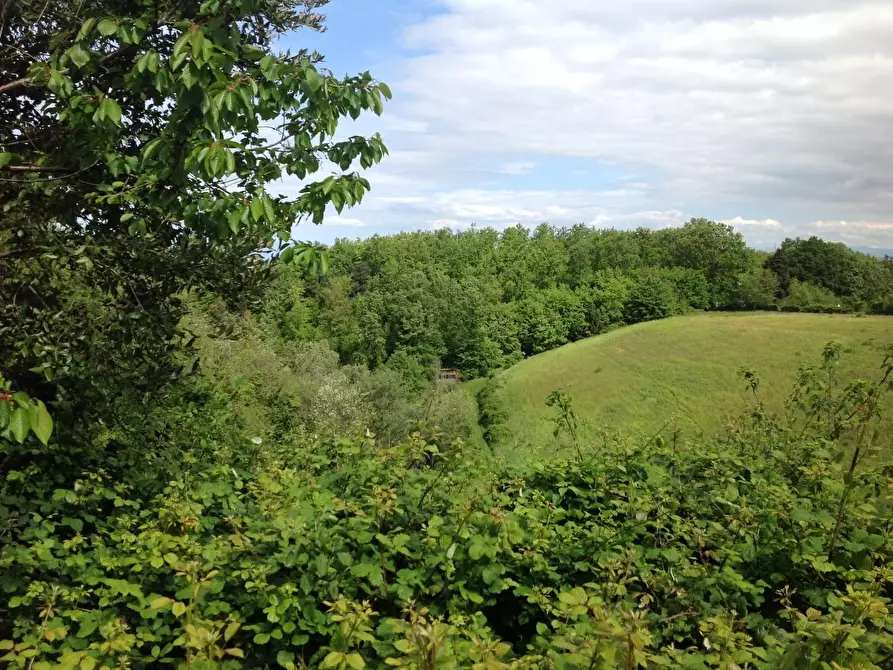 Immagine 9 di Azienda agricola in vendita  a Montaione