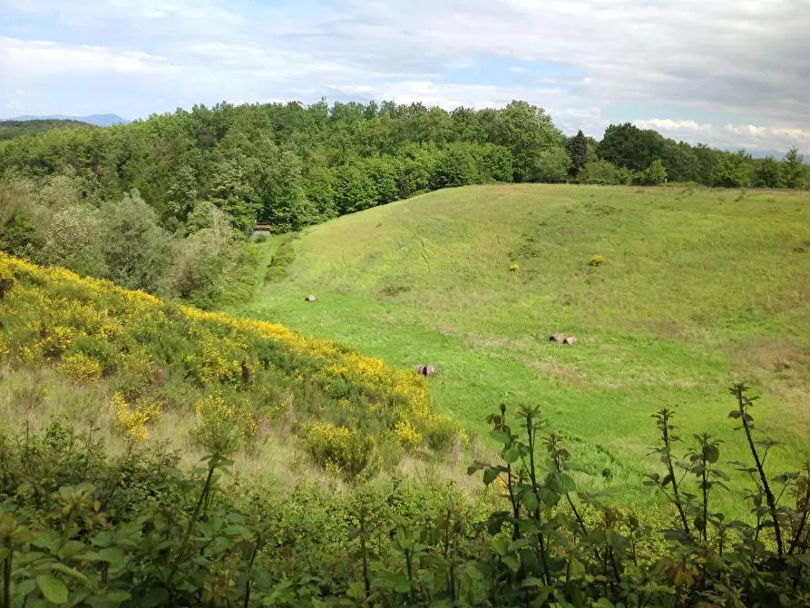 Immagine 10 di Azienda agricola in vendita  a Montaione