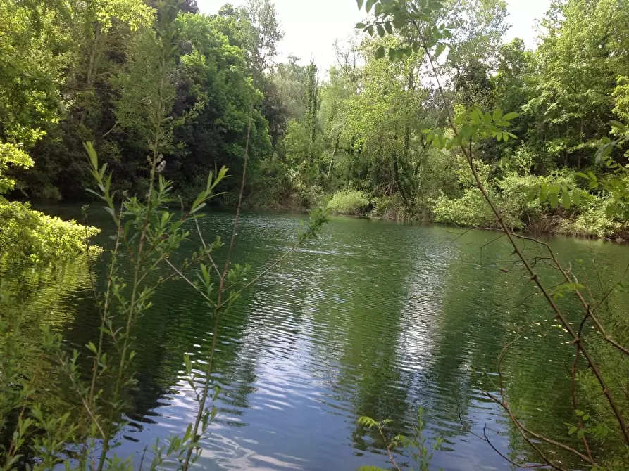 Immagine 23 di Azienda agricola in vendita  a Montaione