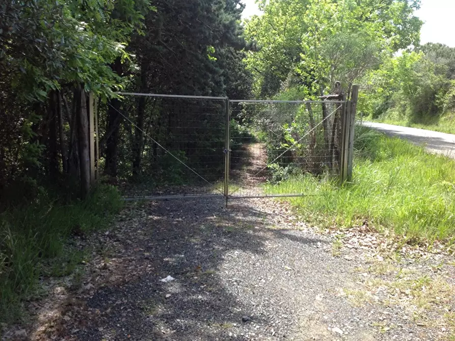 Immagine 42 di Azienda agricola in vendita  a Montaione