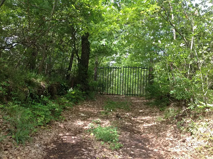 Immagine 37 di Azienda agricola in vendita  a Montaione