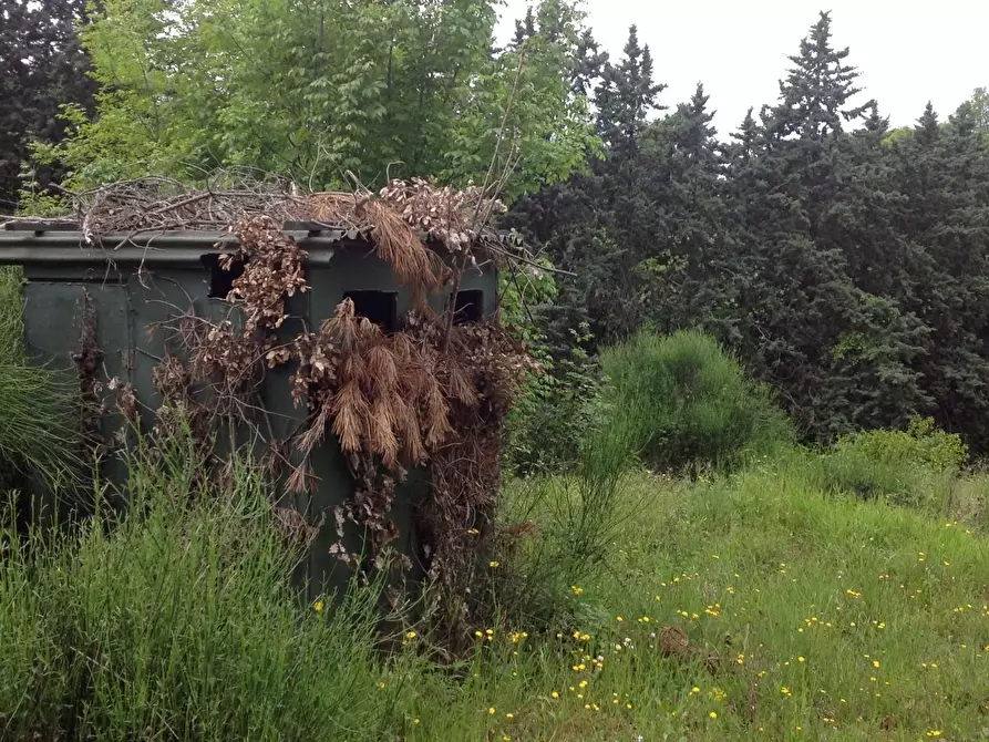 Immagine 14 di Azienda agricola in vendita  a Montaione