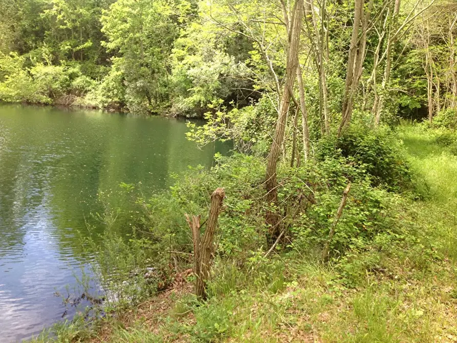 Immagine 22 di Azienda agricola in vendita  a Montaione