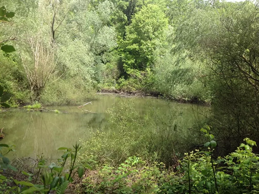 Immagine 32 di Azienda agricola in vendita  a Montaione