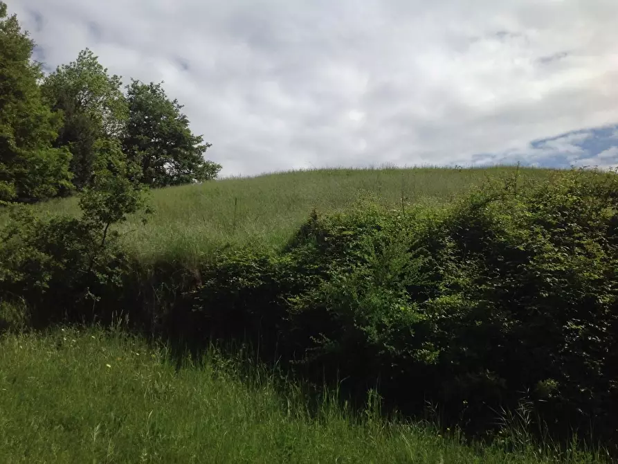 Immagine 30 di Azienda agricola in vendita  a Montaione