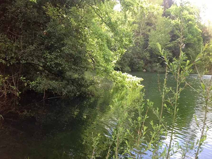 Immagine 24 di Azienda agricola in vendita  a Montaione
