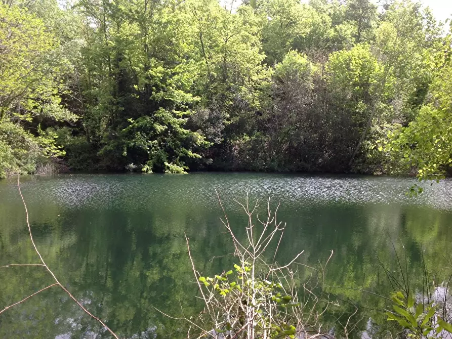 Immagine 26 di Azienda agricola in vendita  a Montaione