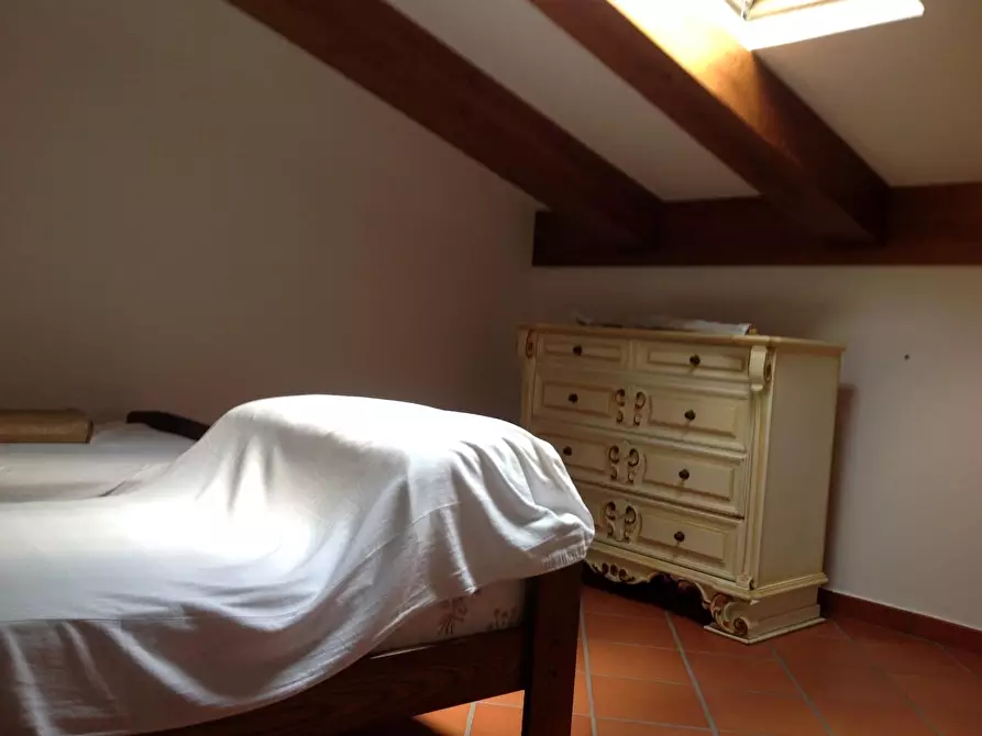 Immagine 49 di Azienda agricola in vendita  a Montaione