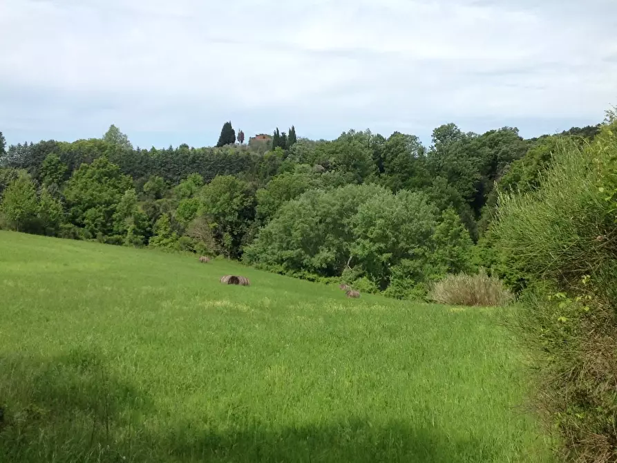 Immagine 11 di Azienda agricola in vendita  a Montaione