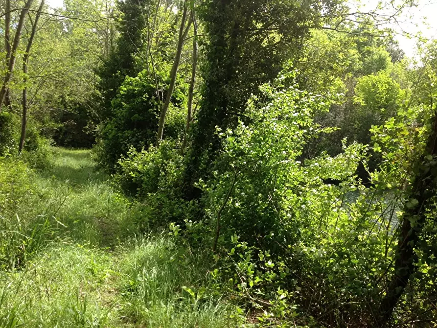 Immagine 25 di Azienda agricola in vendita  a Montaione