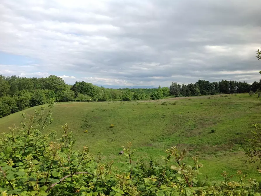 Immagine 8 di Azienda agricola in vendita  a Montaione