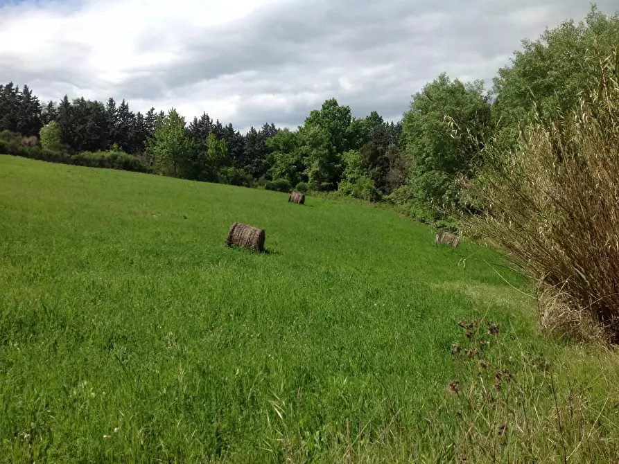 Immagine 29 di Azienda agricola in vendita  a Montaione