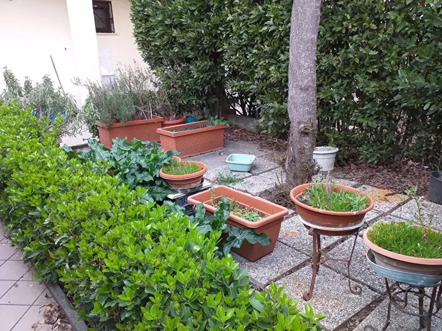 Immagine 19 di Terratetto in vendita  a Empoli