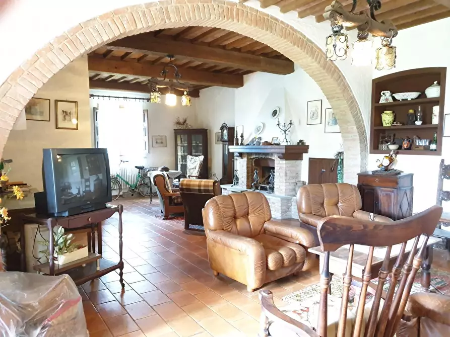 Immagine 1 di Casa colonica in vendita  a Crespina Lorenzana