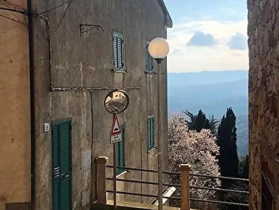 Immagine 35 di Appartamento in vendita  a Monteverdi Marittimo