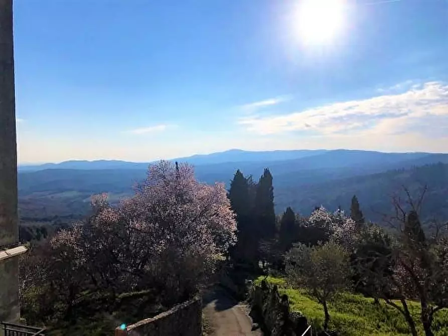 Immagine 28 di Appartamento in vendita  a Monteverdi Marittimo