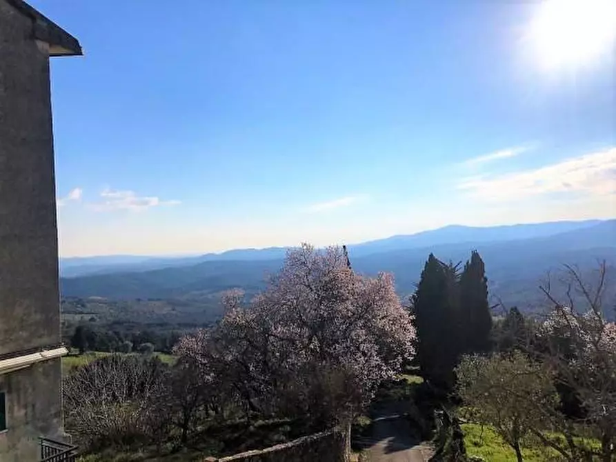 Immagine 29 di Appartamento in vendita  a Monteverdi Marittimo