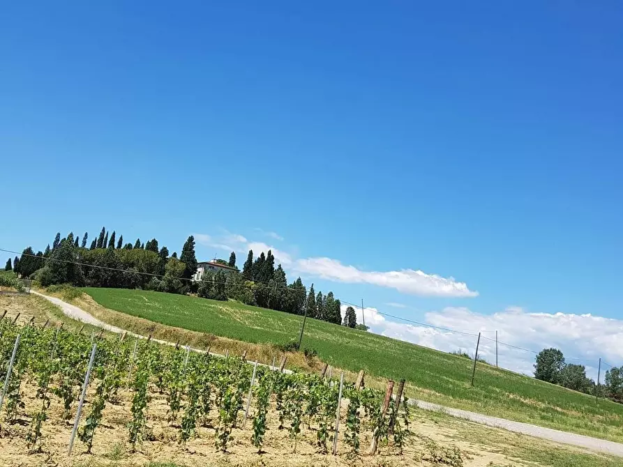 Immagine 8 di Villa in vendita  a Vinci