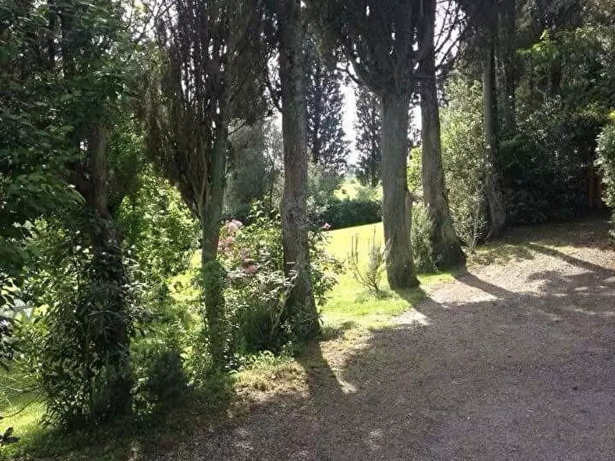 Immagine 9 di Villa in vendita  a Vinci