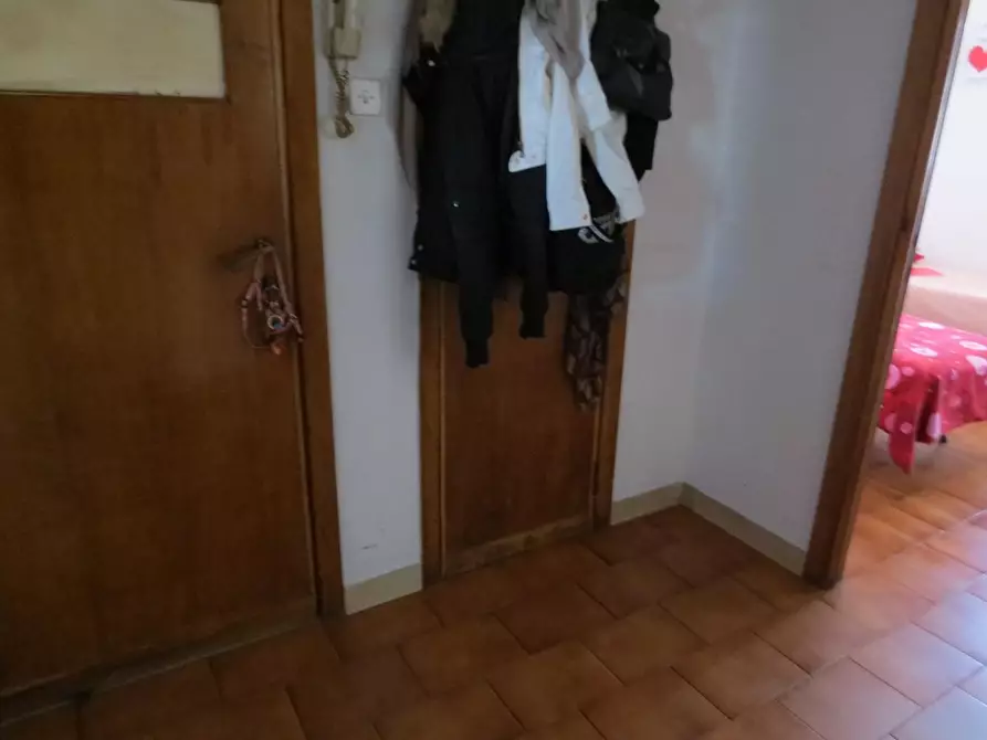 Immagine 7 di Appartamento in affitto  a Pisa
