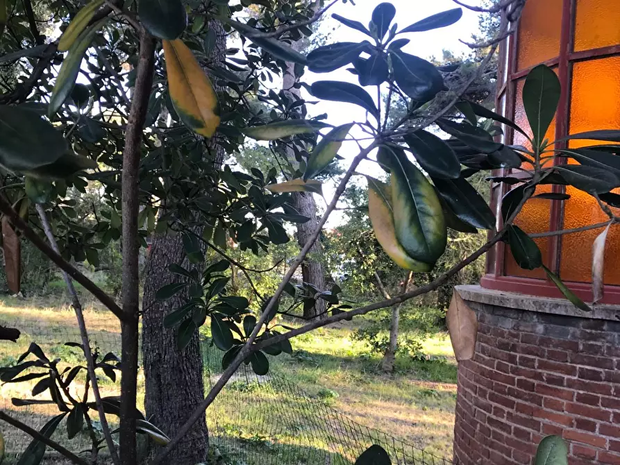 Immagine 6 di Villa in vendita  a Pisa