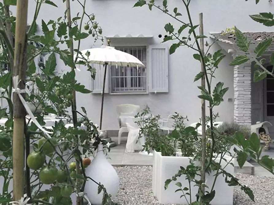 Immagine 15 di Villa in vendita  a San Miniato