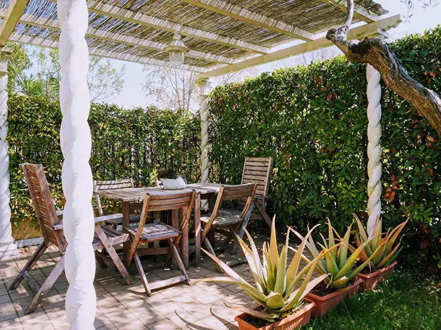 Immagine 3 di Appartamento in vendita  a Massa