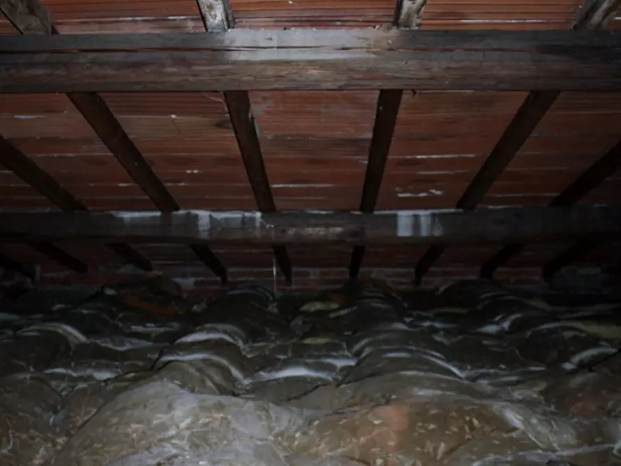 Immagine 28 di Casa bifamiliare in vendita  a Camaiore