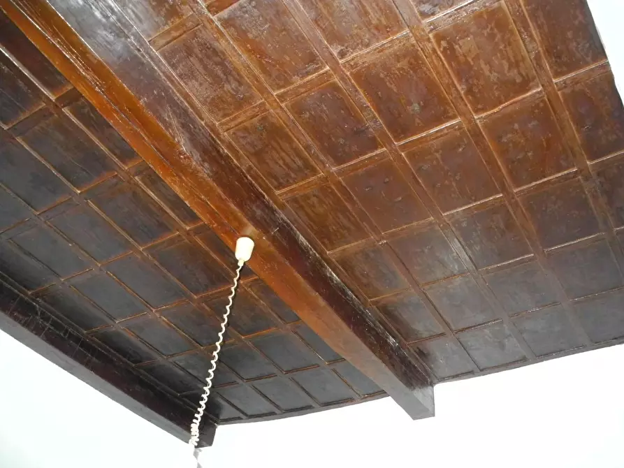 Immagine 3 di Terratetto in vendita  a Vinci