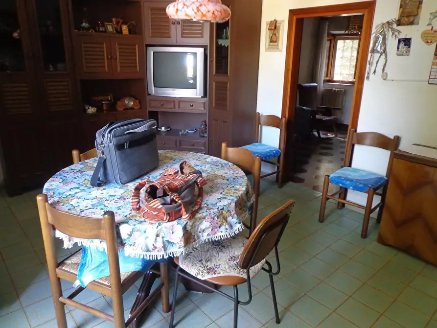 Immagine 6 di Appartamento in vendita  a San Giuliano Terme